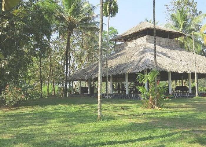 Suryanelli Camp, Munnar 3